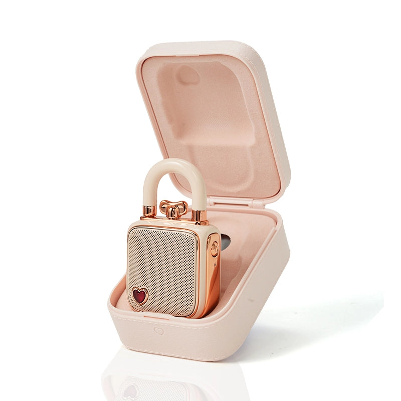 Enceinte Bluetooth Lovelock