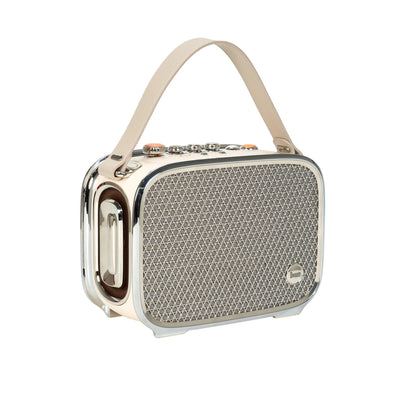 Divoom Ultra 100W Pro — Enceinte Amplificateur